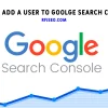 How to add a user to google search console